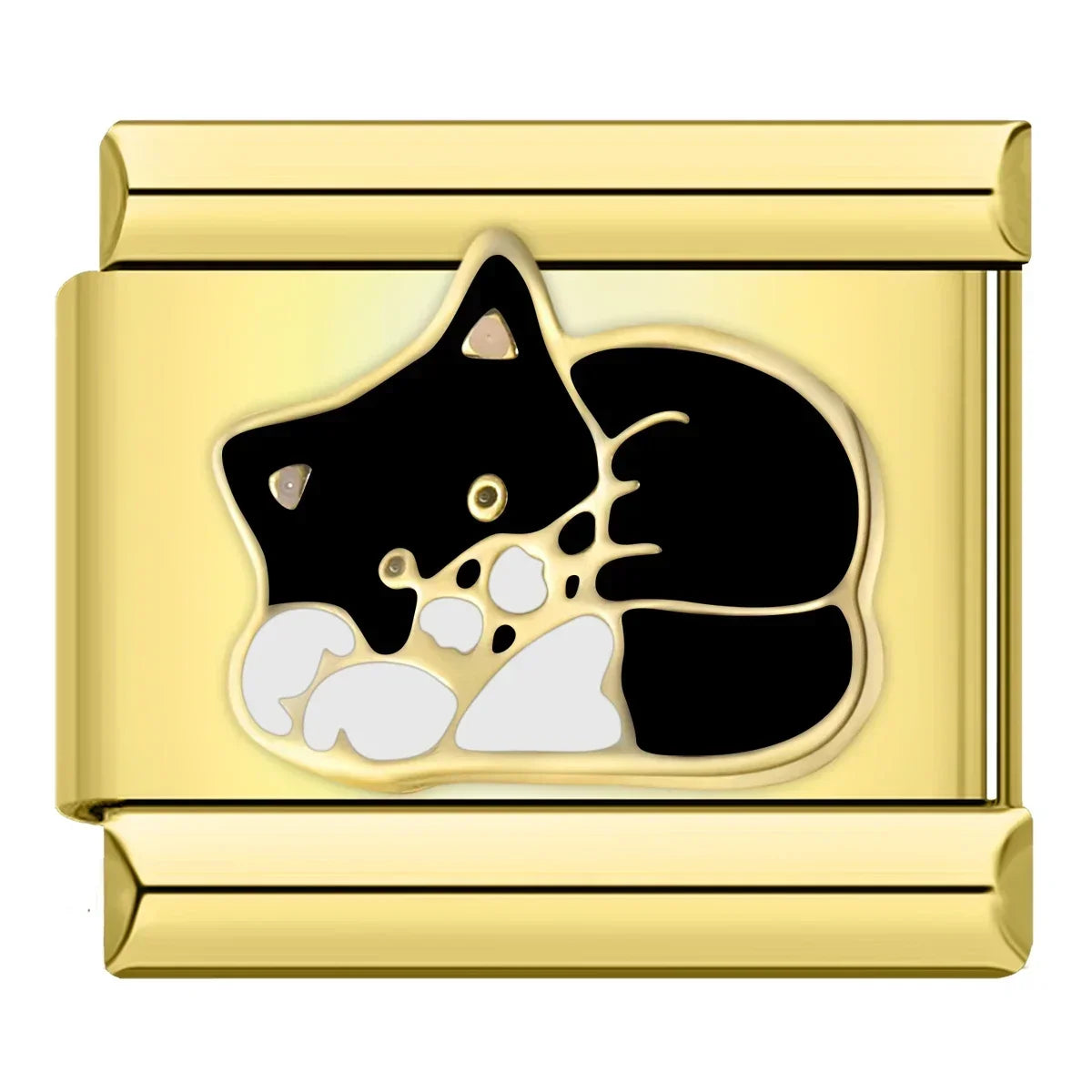 Chat noir